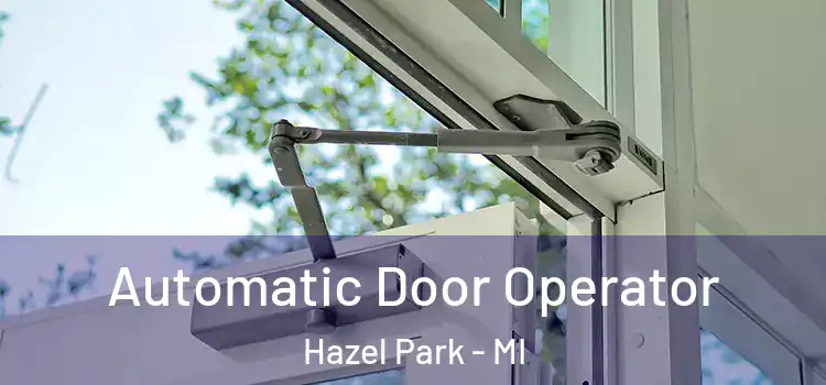  Automatic Door Operator Hazel Park - MI