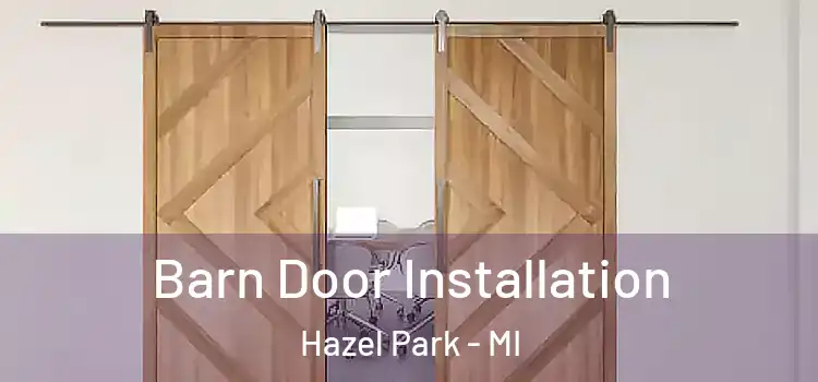 Barn Door Installation Hazel Park - MI