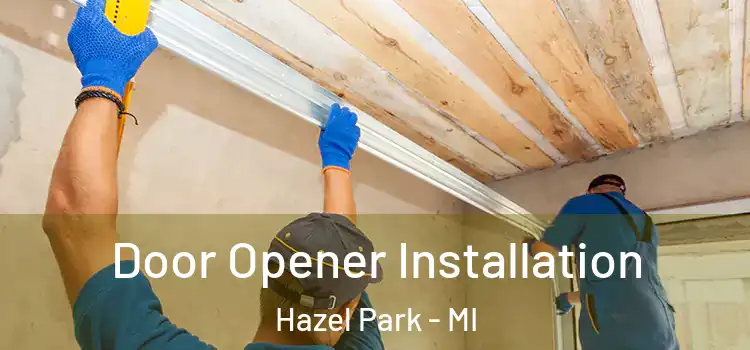 Door Opener Installation Hazel Park - MI