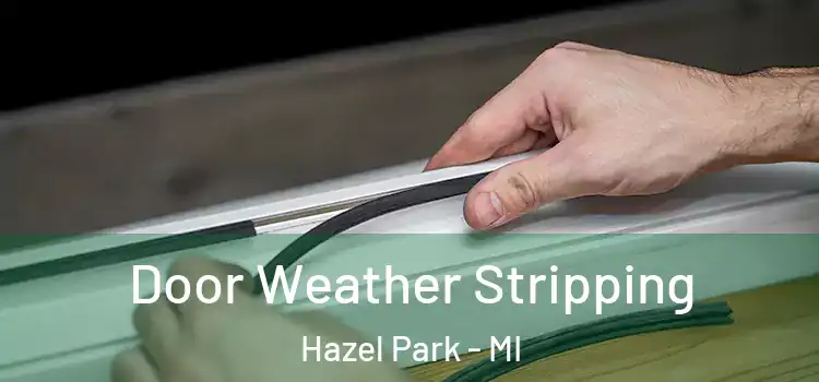 Door Weather Stripping Hazel Park - MI