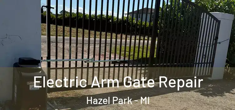  Electric Arm Gate Repair Hazel Park - MI