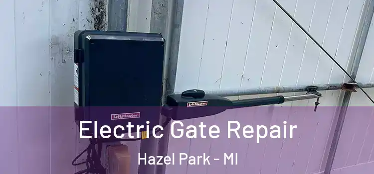  Electric Gate Repair Hazel Park - MI