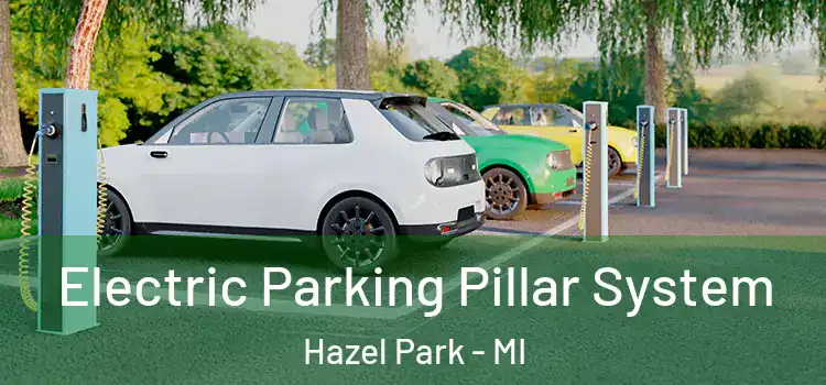  Electric Parking Pillar System Hazel Park - MI