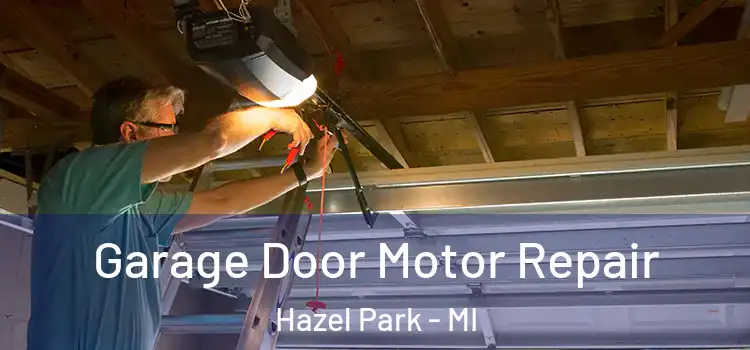  Garage Door Motor Repair Hazel Park - MI