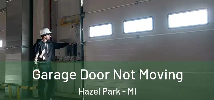  Garage Door Not Moving Hazel Park - MI