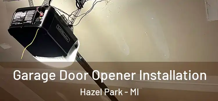  Garage Door Opener Installation Hazel Park - MI