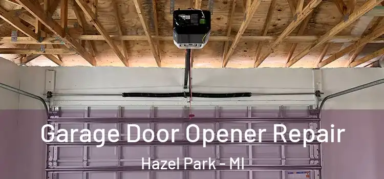  Garage Door Opener Repair Hazel Park - MI