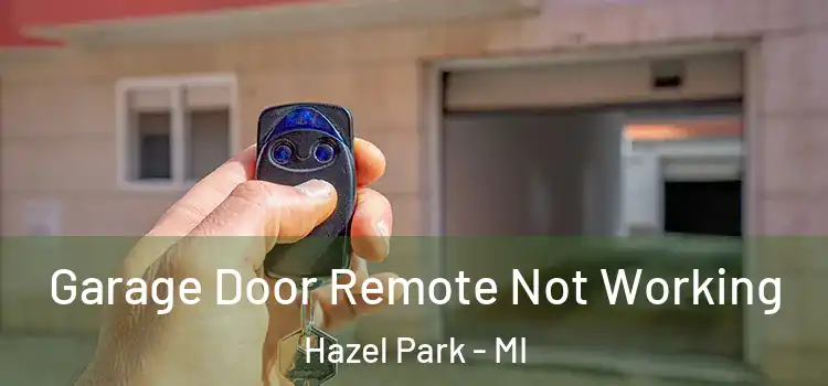  Garage Door Remote Not Working Hazel Park - MI
