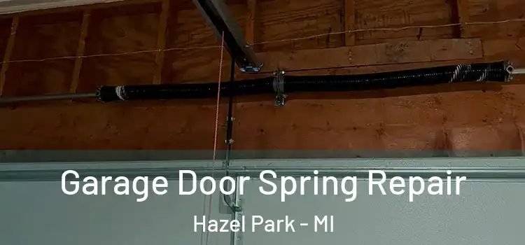 Garage Door Spring Repair Hazel Park - MI