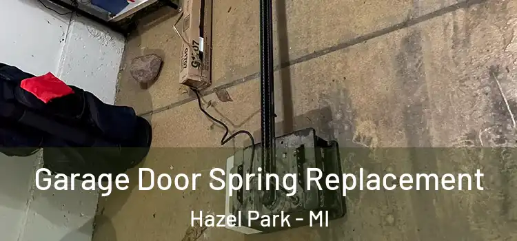  Garage Door Spring Replacement Hazel Park - MI