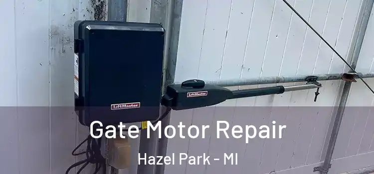 Gate Motor Repair Hazel Park - MI