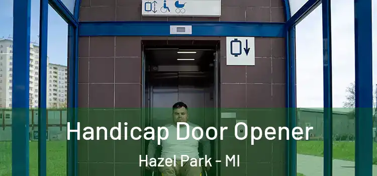  Handicap Door Opener Hazel Park - MI