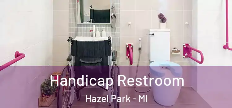  Handicap Restroom Hazel Park - MI