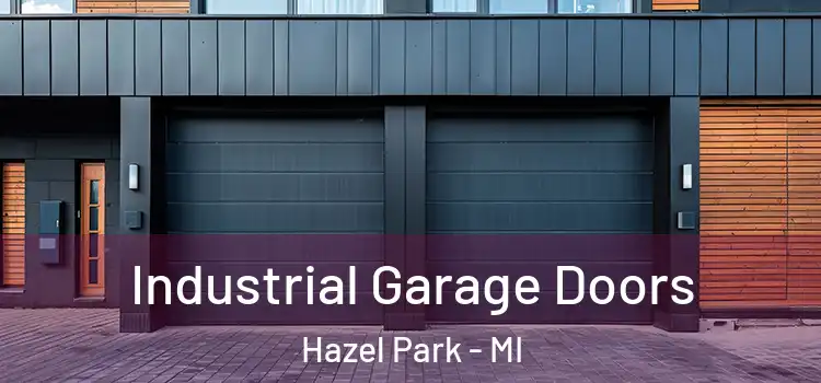  Industrial Garage Doors Hazel Park - MI