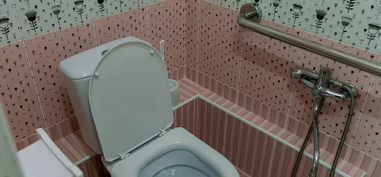 Meeting Diverse Needs With Accessible Restroom Solutions in Hazel Park, MI