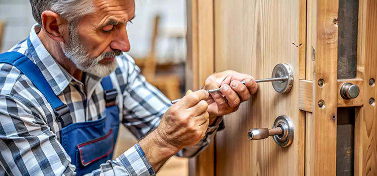 Mortise Replacement Lock Hazel Park