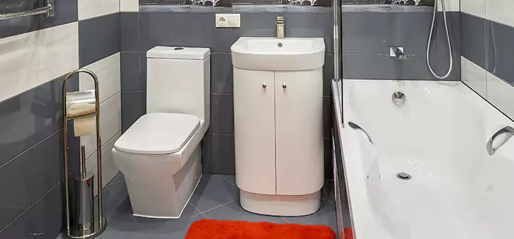Hansgrohe Shaving Mirror Hazel Park