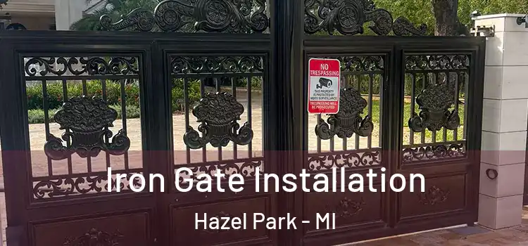  Iron Gate Installation Hazel Park - MI