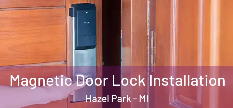  Magnetic Door Lock Installation Hazel Park - MI