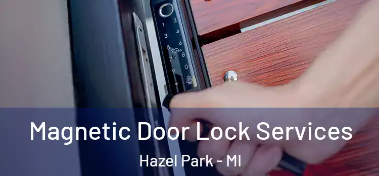  Magnetic Door Lock Services Hazel Park - MI