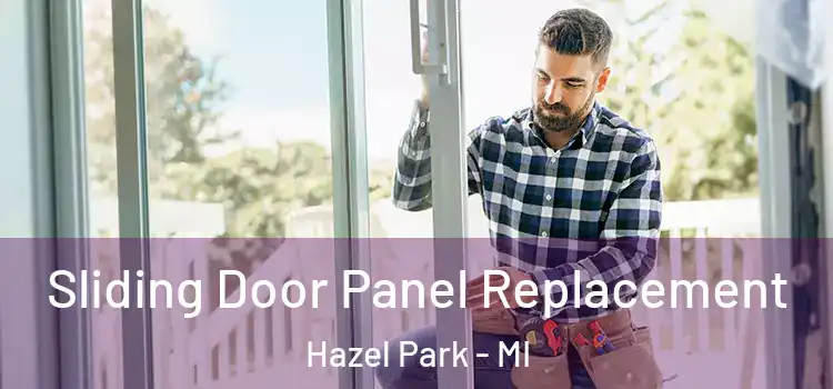  Sliding Door Panel Replacement Hazel Park - MI