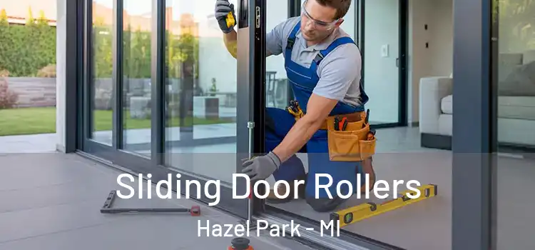  Sliding Door Rollers Hazel Park - MI