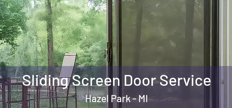 Sliding Screen Door Service Hazel Park - MI